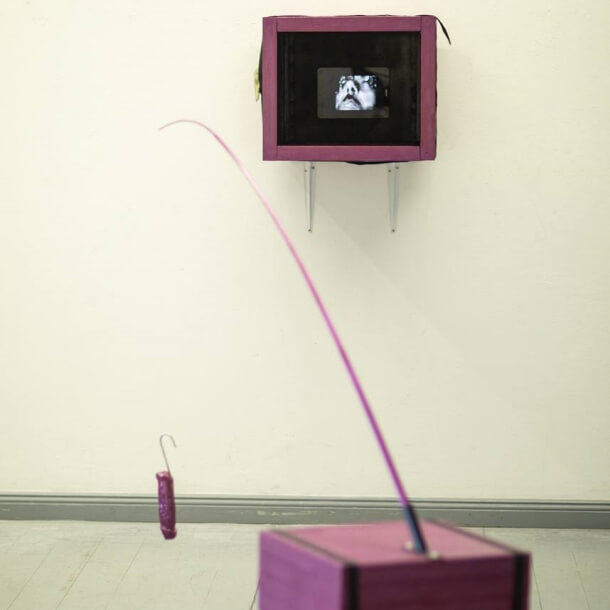 Installation The Pigeon Hunter